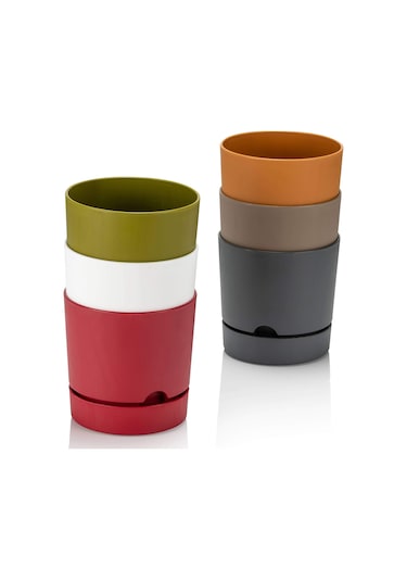 Poliwork Begonya 21 cm Renkli Plastik Tabaklı Saksı