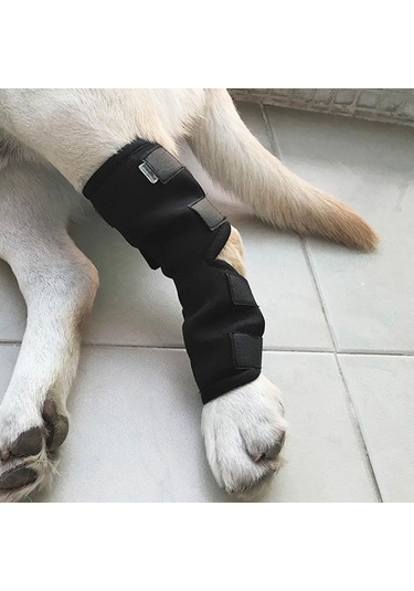 Homyl Artrit Yara İyileştirmesinden Kaynaklanan Stabilite Xl