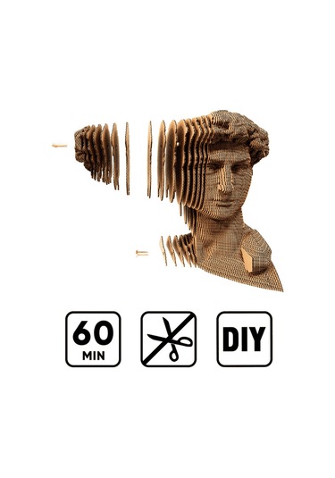 Cartonic 3d Puzzle - Davıd