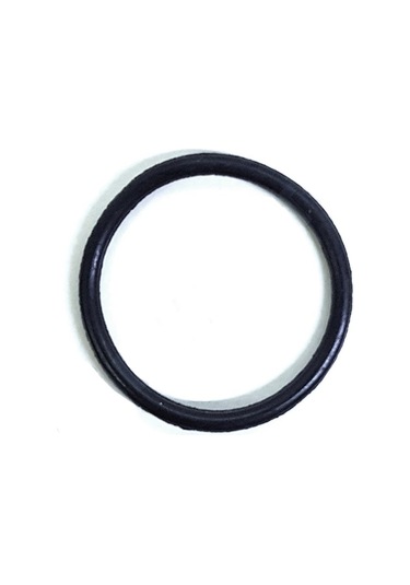 Oring Tvs Wego 110