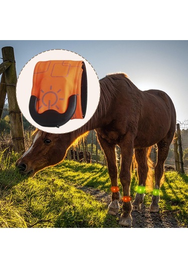 Homyl Açık At Binme Koşu Için Led Ayak Bileği Turuncu Turuncu