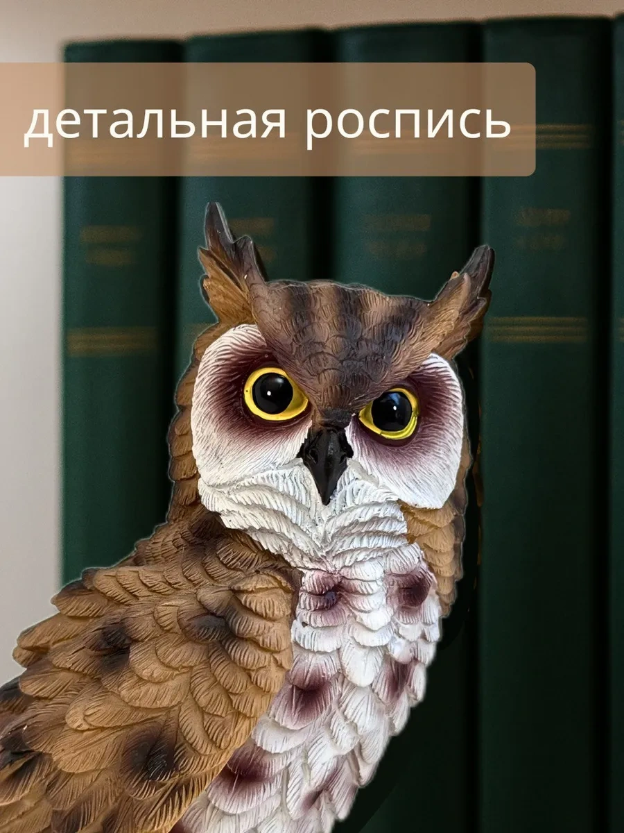 Homehaus Ev Dekorasyonu Baykuş 260342594