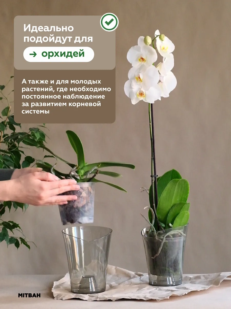 Mıtbah Şeffaf Orkide Saksısı Saksı 2 Adet 74247173