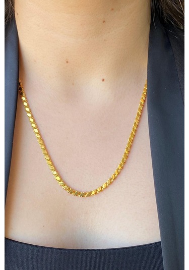 14 Ayar Altın 3.5 Mm Pullu Zincir Kolye