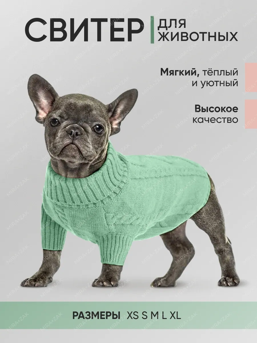 Mıra+zak Küçük Ve Orta Boy Köpekler İçin Hayvanlar İçin Kazak 264934154