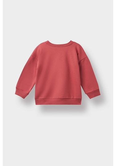Defacto Erkek Bebek Bisiklet Yaka Dinozor Baskılı İçi Yumuşak Tüylü Sweatshirt F4531a525aubr116 Bordo
