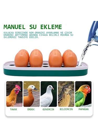 Altın Kuluçka-wonegg 8'li Mini Kuluçka Makinesi