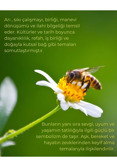 Arı Kolye 14 Ayar Altın Altın