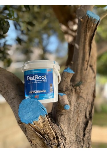 Eastroot Blueguard Aşı Macunu 1000 Gram Fırça Ile Sürülebilir