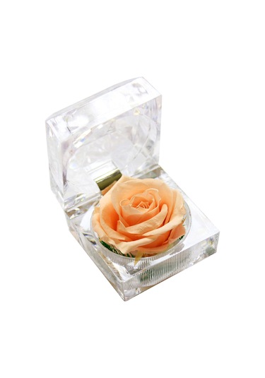 Xiyyadms Sürekli Gül Dekoratif Açık Renkli Ev Ve Partiler İçin Romantik Hediyelik Çiçek Kutusu