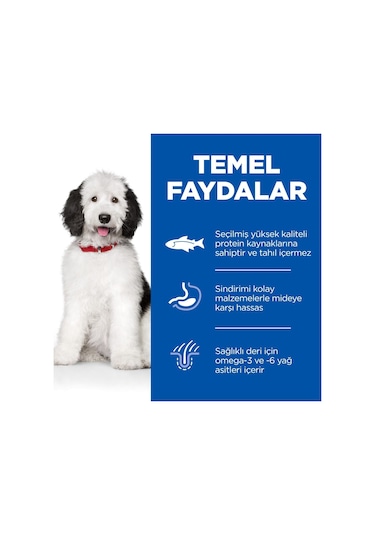 Hill's Hypo-Allergenic Somonlu Orta Irk Yetişkin Köpek Maması 12 KG