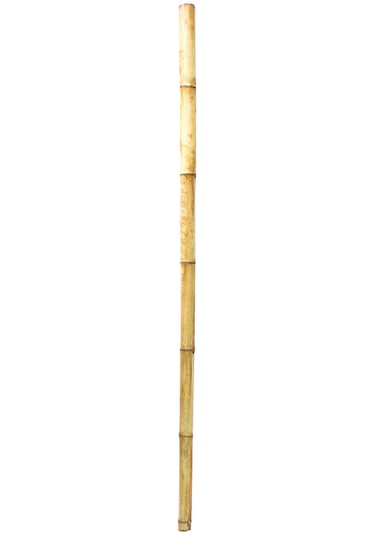 Dekoratif Bambu M