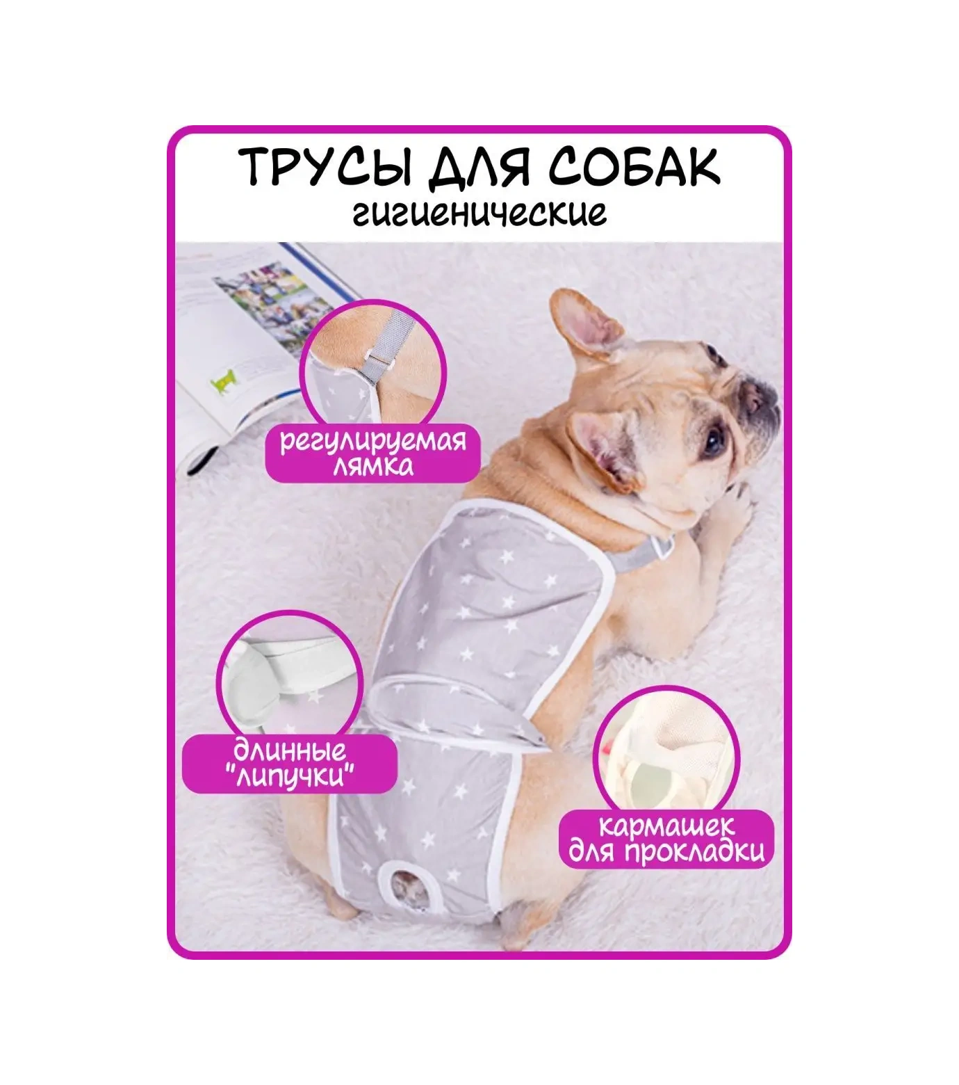 Best Golden Monkey Köpekler İçin Külot 95581722