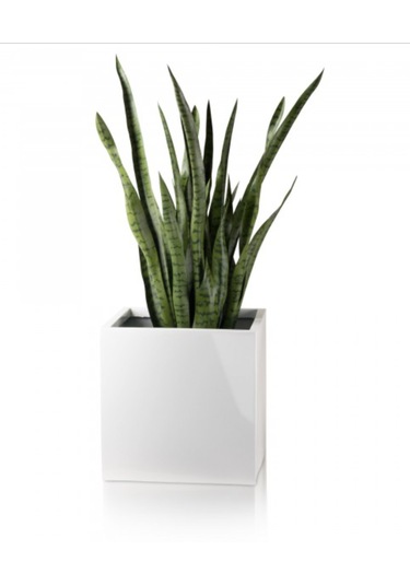 Mofiba Fiberglass Saksı Kare 30cm 30cm 30h Cm Beyaz