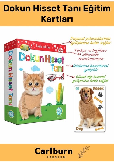 Özel Üretim Duyusal Gelişim Görsel Algı Eğlenceli Öğrenme Çocuk Dokun Hisset Tanı Eğitim Kartları