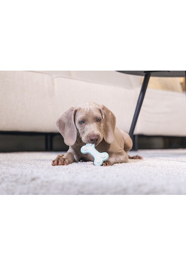 Beeztees Yavru Köpek Diş Oyuncağı, İçi Dolu Halka, Kauçuk, Yeşil, 10cm