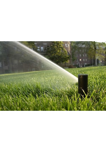 Raınbırd 5004 Rotor Sprıng 3/4" 5 Adet