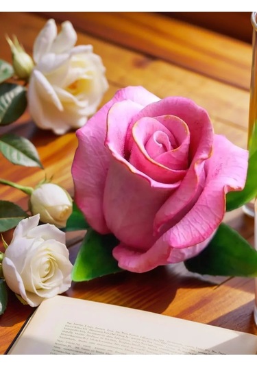 Koroleva Formy Çikolata Ve Tatlılar İçin 3d Gıda Silikoni Kalıp Gül 36146341 Diğer