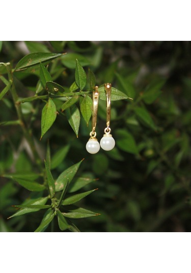 Kadın Halka İnci Küpe Gold