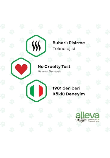 Alleva Holistik Balıklı Tahılsız Maxi Irk Yavru Köpek Maması 2 Kg