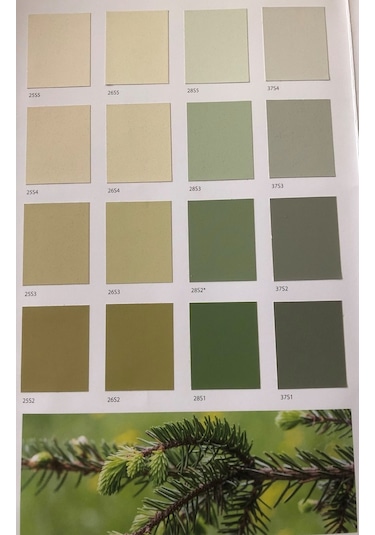 Filli Boya Aqustosilan Dış Cephe Boyası 7,5 Lt