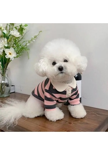 Köpek Giysileri Schnauzer Teddy York Shire Polo Gömlek Yaz Bej