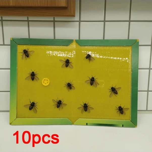 Trendooze Güneşli022 5 Adet A4 Boy Yapışkan Tuzak Ev Bahçe İçin Sinek Güve Yakalama Zehirsiz