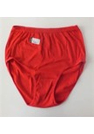 Tutku Bayan Slip Külot Bato Karışık Renkli %100 Pamuk Penye 12 Ad