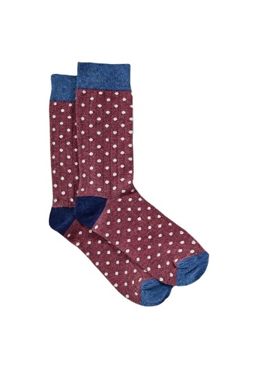 Kadın Terrassa 3'lü Soket Çorap Renkli