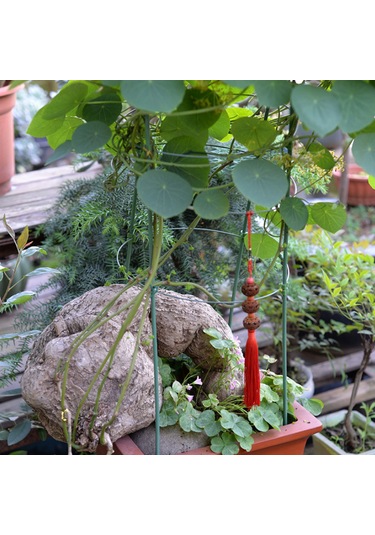 Neevoyu Boy Ayarı Yapılabilir 60cm Boyunda 28cm Çapında Bitki Tırmanma Sepeti - Bahçe Malzemesi 1 Adet