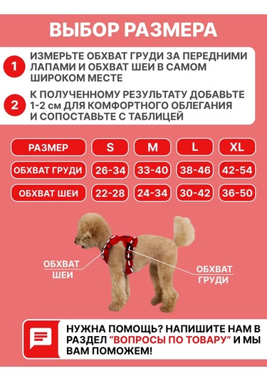Tori Küçük Ve Orta Irklar İçin Tasmalı Köpek Kayışı Ve Kedi Şeridi 451340234