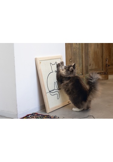 Beeztees Dbl Kedi Tırmalama Tahtası, 50x40x2cm