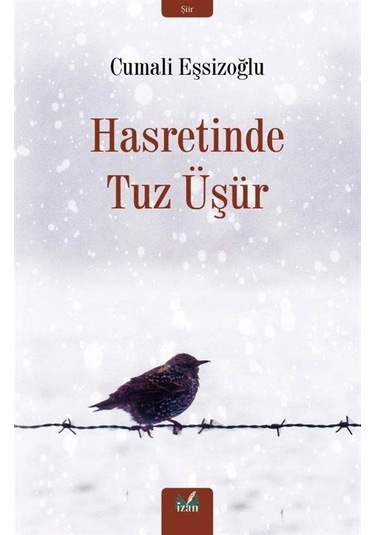 Hasretinde Tuz Üşür - Cumali Eşsizoğlu - İzan Yayıncılık