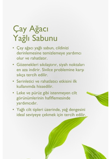 Çay Ağacı Yağlı Sabun 125gr