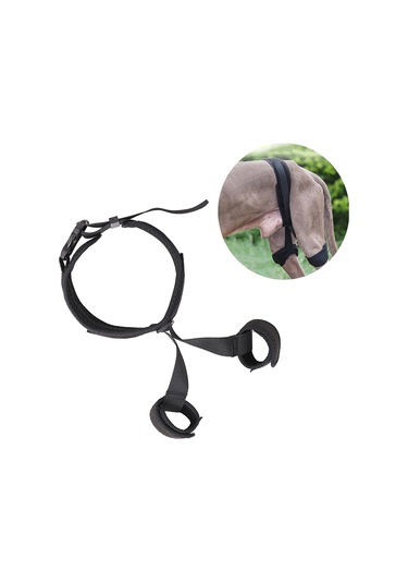 Homyl Köpek Kalça Desteği Canine Aid Bacak Yardımcısı M