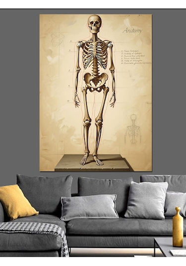 İnsan İskeleti Anatomik Çizim Dekoratif Kanvas - Mdf Ahşap Tablo