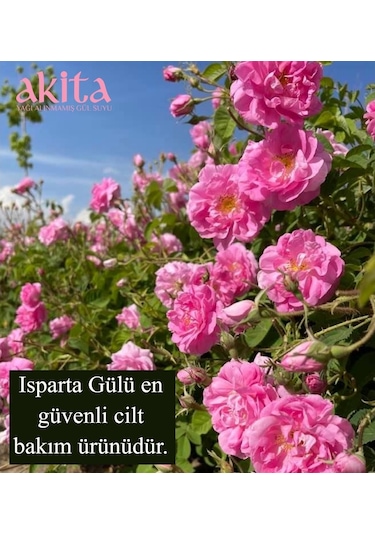 Akita Yüksek Frekans Doğal Gül Yağı Roll-on 1 ML