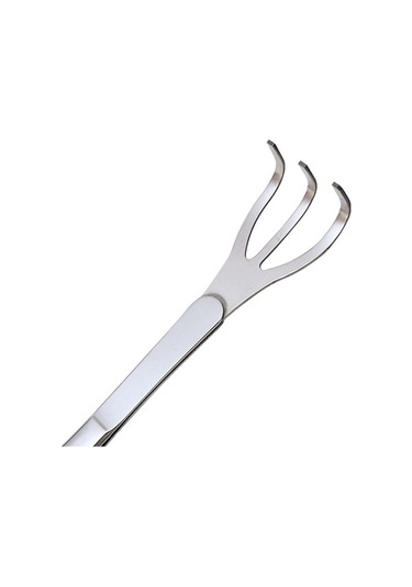 Pazly Toprak Suntek Kavisli Tırmık Gevşetme Cımbızı Bonsai Akvaryum Aleti