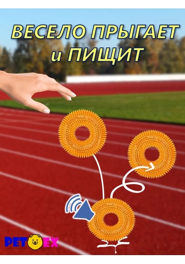 Pet-ex Küçük Köpekler İçin 10 Cm'lik Zangırtılı Ve Dikenli Köpek Tasması 241229175