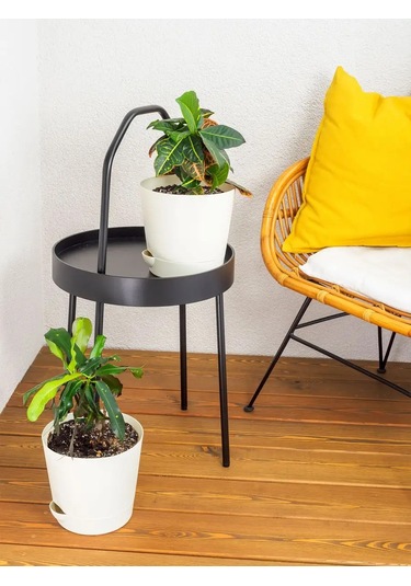 Ho'me Kökten Sulanan Çiçek Saksısı 4 Adet 3 Litre 168575332