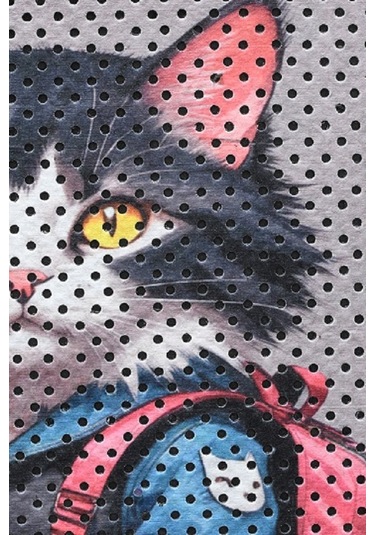 Kar Mat Kedi Kumu Paspası Delikli Kedi Tuvaleti Paspası 40 x 60 CM