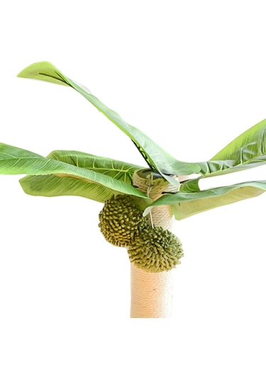 Homyl Tırmalama Aleti, Ağacı Asılı Top Yavru Sonrası Ağaç