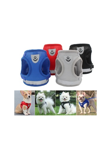 Geeroyoo Küçük Köpekler İçin Havalandırmalı Gece Yürüyüş Yeleği Ve Tasma Seti - Siyah S Bl-844 Siyah