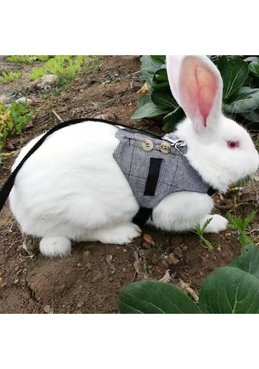 Lemestar Köpek, Tavşan Ve Kedi İçin Pamuklu Kostüm Tasma - S/m/l Boyutları - Boyun Ve Göğüs Ölçümleriyle