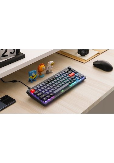 Keychron V2-C3 QMK Custom Brown Switch RGB HotSwap Full Assembled Mekanik Klavye