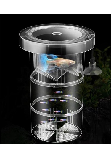 Homyl Damızlık Kutusu Akvaryum Akrilik Balık Tankı