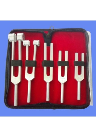 Vzn 5'li Diapozon Set Frekans 128, 256, 512, 1024, 2048 Diyapozon
