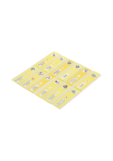 Ece Mikroskop Slayt Preparat Seti Başlangıç 12'li Çiçekler