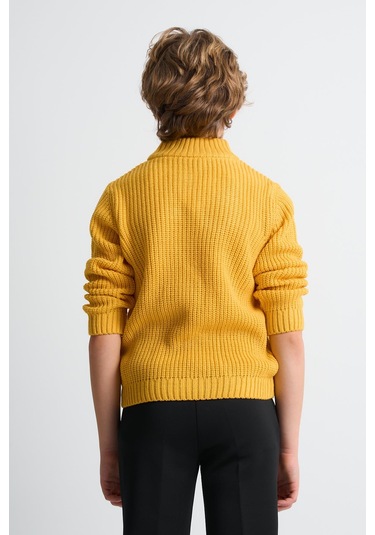 Alexandergardı Dik Yaka Fermuarlı Erkek Çocuk Kazak C23-7108 Hardal