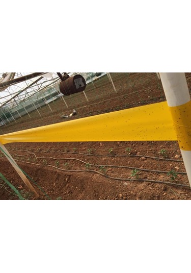 30 X 100 Cm Yapışkan Sarı Rulo Tuzak